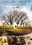 PEIXE GRANDE E SUAS HISTÓRIAS MARAVILHOSAS