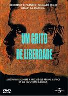 UM GRITO DE LIBERDADE