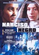 NARCISO NEGRO