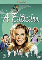 A FEITICEIRA: 4ª TEMPORADA COMPLETA (QTD: 4)