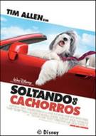 SOLTANDO OS CACHORROS