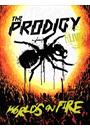 (CD+DVD) LIVE: WORLD'S ON FIRE (DUPLO)