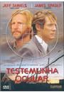 TESTEMUNHA OCULAR
