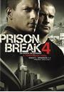 PRISON BREAK: 4ª TEMPORADA (A TEMPORADA FINAL) (QTD: 6)