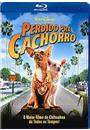 (BLU-RAY) PERDIDO PRA CACHORRO
