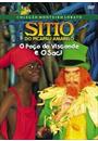 SÍTIO DO PICA PAU AMARELO: O POÇO DO VISCONDE E O SACI