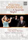 A SPANISH NIGHT