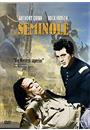SEMINOLE