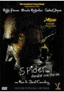 SPIDER: DESAFIE SUA MENTE (ED. ESPECIAL)