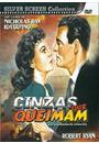 CINZAS QUE QUEIMAN