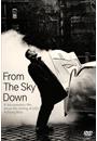 FROM THE SKY DOWN