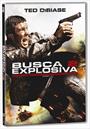 BUSCA EXPLOSIVA 2