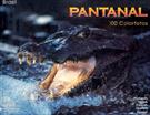 PANTANAL: 100 COLORFOTOS