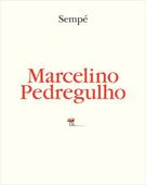 MARCELINO PEDREGULHO
