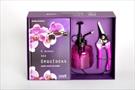 O MUNDO DAS ORQUIDEAS: APRENDA A CONSERVAR SUAS ORQUIDEAS