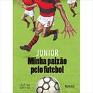 MINHA PAIXAO PELO FUTEBOL