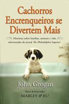 CACHORROS ENCRENQUEIROS SE DIVERTEM MAIS