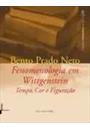FENOMENOLOGIA EM WITTGENSTEIN: TEMPO, COR E FIGURAÇAO