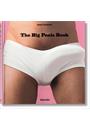 THE BIG PENIS BOOK