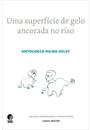 UMA SUPERFICIE DE GELO ANCORADA NO RISO