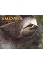 AMAZONIA: 110 COLORFOTOS - BRASIL