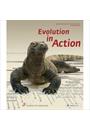 EVOLUTION IN ACTION