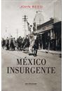MEXICO INSURGENTE