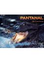 PANTANAL: 100 COLORFOTOS