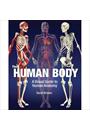 THE HUMAN BODY: A VISUAL GUIDE TO HUMAN ANATOMY