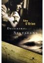 DEZEMBROS SELVAGENS