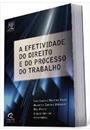 A EFETIVIDADE DO DIREITO E DO PROCESSO DO TRABALHO
