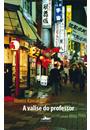 A VALISE DO PROFESSOR