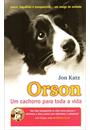 ORSON: UM CACHORRO PARA TODA A VIDA