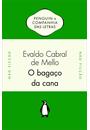 O BAGAÇO DA CANA