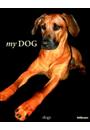 MY DOG