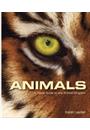 ANIMALS: A VISUAL GUIDE TO THE ANIMAL KINGDOM