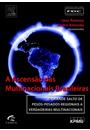 A ASCENSAO DAS MULTINACIONAIS BRASILEIRAS: O GRANDE SALTO DE PESOS-PESADOS REGIONAIS A VERDADEIRAS MULTINACIONAIS