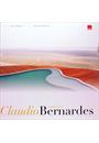 CLAUDIO BERNARDES: ARQUITETURA
