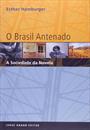 O BRASIL ANTENADO: A SOCIEDADE DA NOVELA