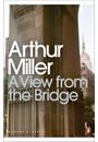 A VIEW FROM THE BRIDGE