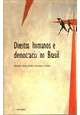 DIREITOS HUMANOS E DEMOCRACIA NO BRASIL