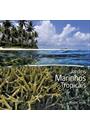 JARDINS MARINHOS TROPICAIS