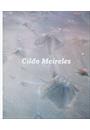 CILDO MEIRELES