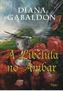A LIBELULA NO AMBAR